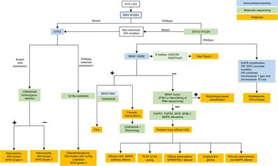 Molecular testing for adolescent and young adult central nervous system tumors: A Canadian guideline